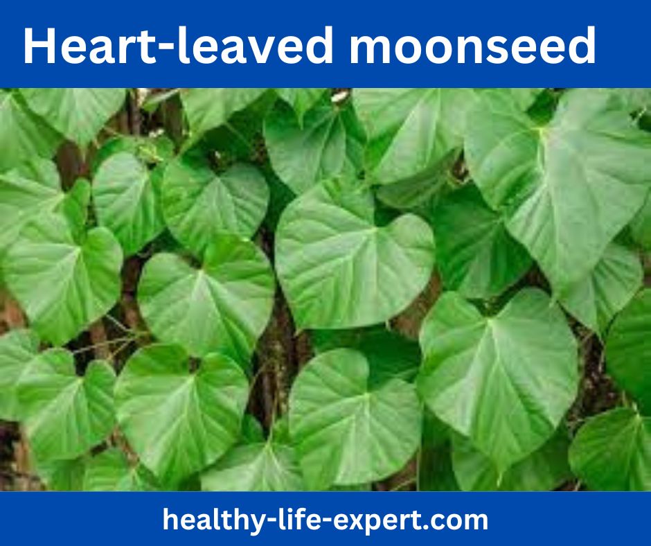 Heart-leaved moonseed