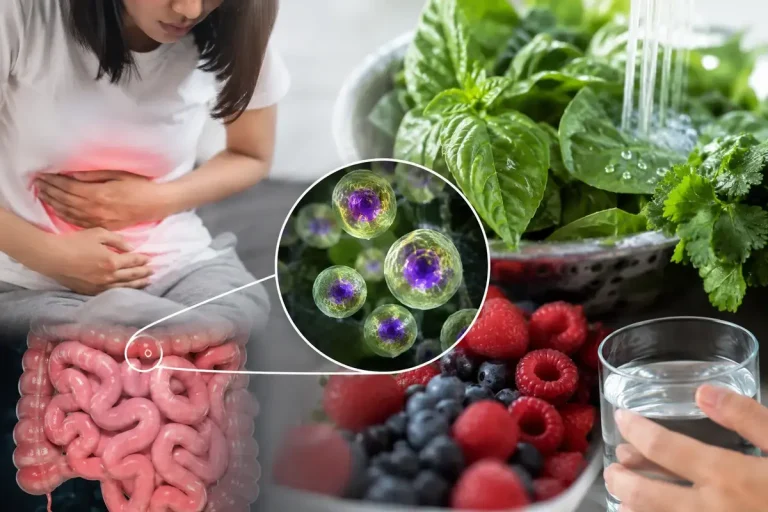 Cyclosporiasis: Transmission, Symptoms & Treatment